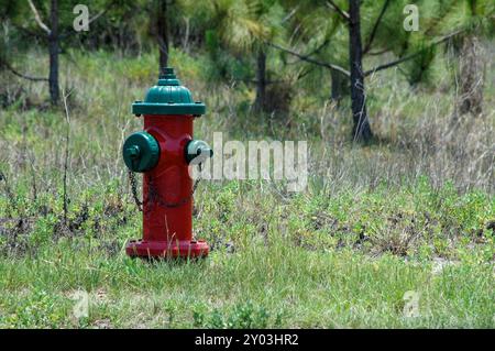 Einsamer roter und grüner Hydrant im Wald Stockfoto