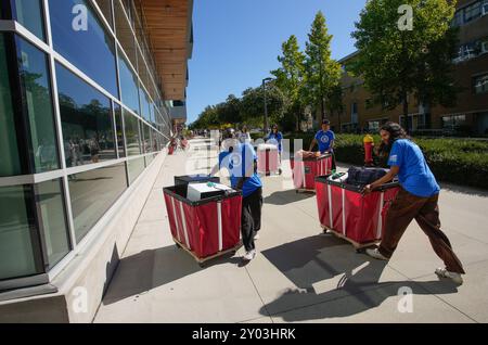 Vancouver, Kanada. 31. August 2024. Freiwillige Helfer helfen Schülern, ihre Sachen während des Umzugstages an der University of British Columbia in Vancouver, British Columbia, Kanada, am 31. August 2024 zu transportieren. Etwa 3.000 Studenten brachten ihr Eigentum am Samstag in ihre Wohnungen auf dem Campus der University of British Columbia (UBC) Vancouver, um sich auf das neue akademische Jahr vorzubereiten. Quelle: Liang Sen/Xinhua/Alamy Live News Stockfoto