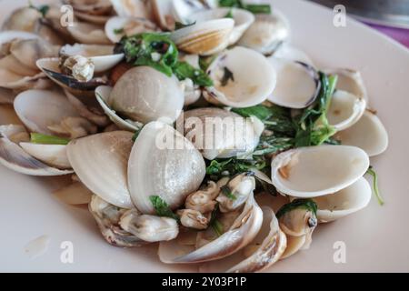 Eine Nahaufnahme eines köstlichen Gerichts mit gebratenen Venusmuscheln, garniert mit frischen Kräutern. Stockfoto