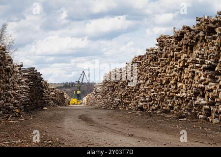 Auf beiden Seiten der Straße befinden sich Stapel von Baumstämmen. Dazwischen befindet sich ein Frachtkran. Stockfoto