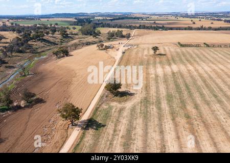 Weizenfeld im Zentrum NSW bei Cowra. Cowra ist ein wichtiges landwirtschaftliches Gebiet mit verschiedenen Kulturen. Stockfoto