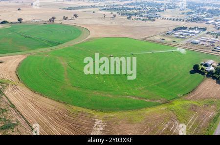 Bewässertes Ackerland in Canowindra im NSW Central West. Australien Stockfoto