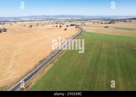 Luftaufnahme von Ackerland um Canowindra im NSW Central West - ein wichtiges landwirtschaftliches Gebiet. Stockfoto