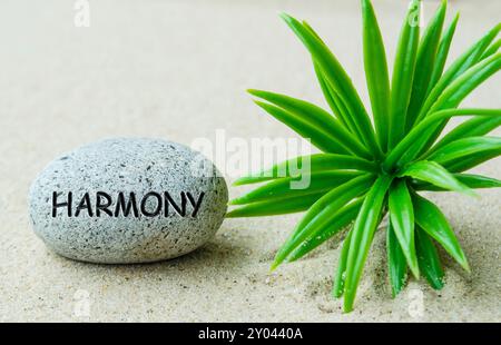 Harmony Text auf Stein mit Pflanzen- und Sandhintergrund. Stockfoto