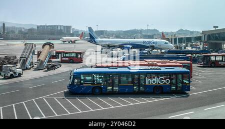 Indigo Airlines Flugzeug und Passagierbus von Indigo Airlines am internationalen Flughafen Mumbai. Indigo-Flugzeug parkt am Flughafen. Reisefoto, Edito Stockfoto