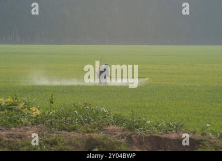 Spritzen von Chemikalienschutzmitteln auf dem Feld Landbewirtschaftung durch Chemikalien Stockfoto