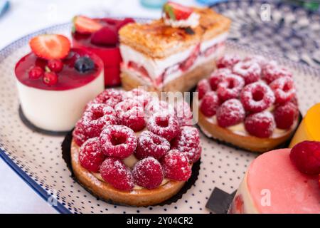 Auswahl an Desserts und Kuchen mit Sommerfrüchten Himbeeren, Erdbeeren, Mango und Schokolade Stockfoto