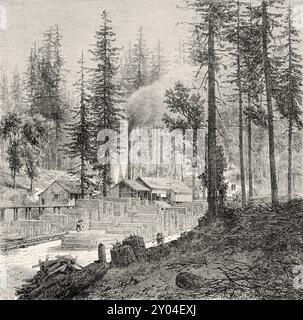 Mechanische Säge in einem riesigen Mammutbaumwald, Kalifornien. Vereinigte Staaten von Amerika, Zeichnung von Eustache Lorsay (1822–1871) Trip to California, 1859 von Louis Simonin (1830–1886) Le Tour du Monde 1862 Stockfoto