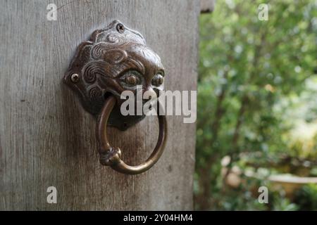 Nahaufnahme eines alten Bronzeklopfers, der auf einer verwitterten Holztür montiert ist. Stockfoto
