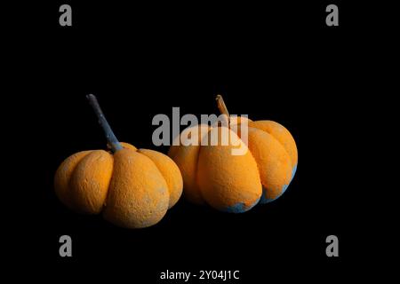 Dieses Bild zeigt zwei orangefarbene Kürbisse aus Beton auf schwarzem Hintergrund. Die Kürbisse sind fokussiert und haben eine strukturierte Oberfläche. Stockfoto
