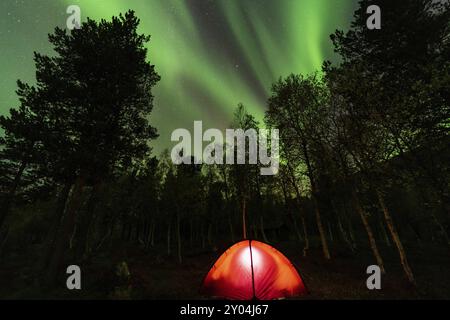 Nordlichter (Aurora borealis) reflektiert in einem See, Rago National Park, Nordland, Norwegen, Biwak, Zelt, Beleuchtung, Skandinavien, Europa Stockfoto