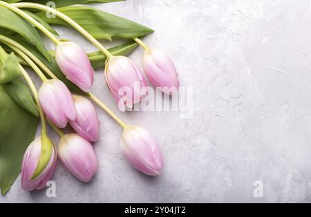 Blumenstrauß aus rosafarbenen Tulpen auf grauem Steinhintergrund Draufsicht, flacher Laienkopierraum Stockfoto