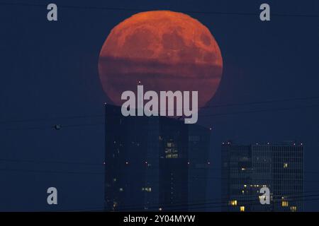 Der Vollmond steigt über der Europäischen Zentralbank (EZB) in Frankfurt am Main, Frankfurt, Hessen, Deutschland, Europa Stockfoto