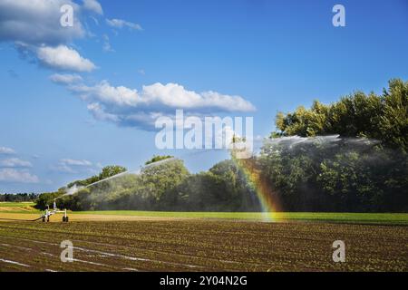 Ein Regenbogen bildet sich auf einer Bewässerungsanlage auf einem Feld in Düsseldorf, Deutschland, Europa Stockfoto