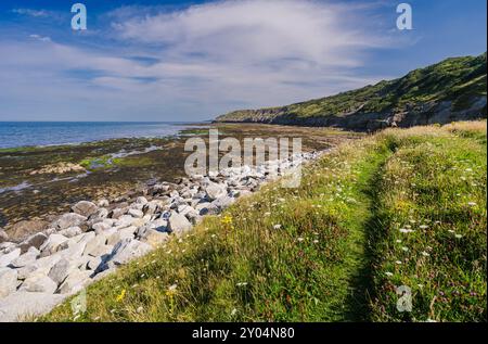 Das unbebaute Strandgebiet am südlichen Ende der South Bay in Scarborough. Das ist die Aussicht im Sommer bei Ebbe Stockfoto