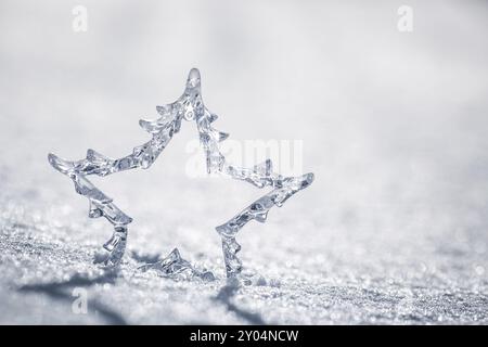 Silberner Weihnachtsstern auf echtem Schnee draußen. Konzept für Winterferien. Geringe Tiefe der Felder Stockfoto