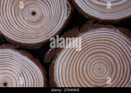 Diese Nahaufnahme zeigt eine Reihe von Holzstämmen, die sich aneinander stapeln und ihre rauen Strukturen und natürlichen Muster zeigen. Stockfoto