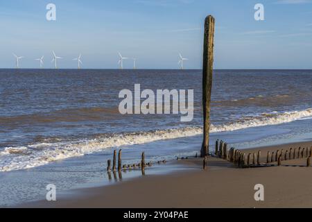 Nordseeküste in Caister-on-Sea, Norfolk, England, Großbritannien, mit den Überresten eines Wellenbrechers am Strand und Windturbinen im Hintergrund Stockfoto