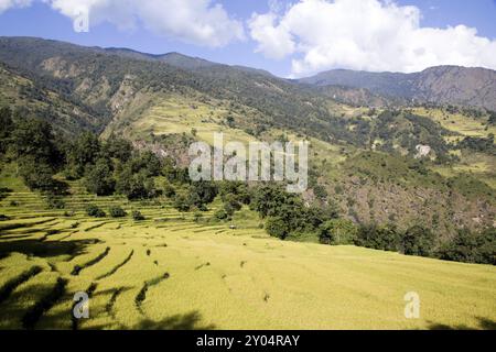 Grüne Berglandschaft mit Reisterrassen auf dem Annapurna Circuit in Nepal Stockfoto