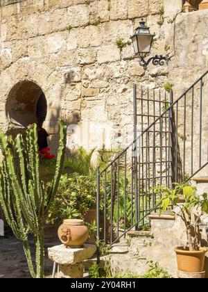 Steintreppe neben alter Steinmauer mit Topf und Kakteen, beleuchtet durch Sonnenlicht, palma de mallorca, mallorca, balearen, Spanien Stockfoto