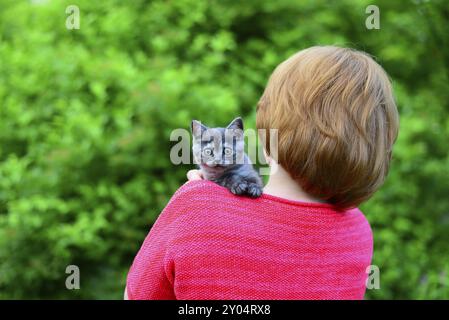 Eine blaue Scottish Kätzchen sitzt auf einer Frau Schulter. Im freien Stockfoto