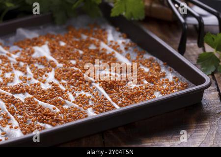 Keimlinge des Kressesalats auf nasser Basis, Nahaufnahme, Makro Stockfoto