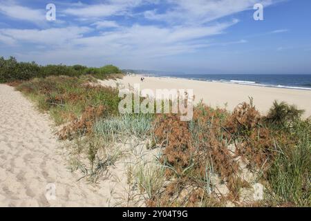 Strand und kleine Sanddüne mit Vegetation im Resort Stadt Wladyslawowo in Polen an der Ostsee, Pommern, Kaschubei region Stockfoto