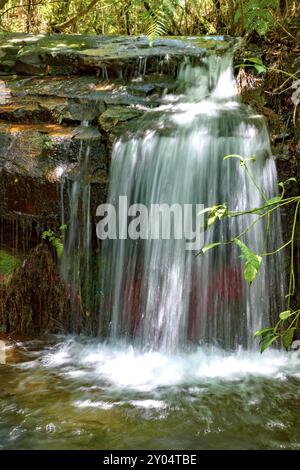 Kleine Kaskade im Inneren des Waldes von Spindeln zwischen Felsen und Vegetation beleuchtet Stockfoto