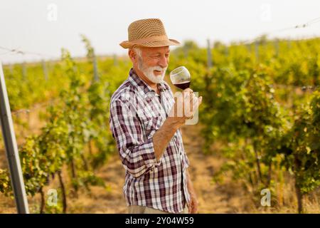 Der Hausmeister hält ein Glas tiefen Rotweins und lächelt, während er zwischen den Reihen von Weinreben steht, die vom sanften Leuchten der untergehenden Sonne beleuchtet werden Stockfoto