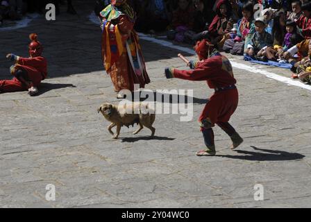 Clowns, Klosterfest in Paro, Bhutan, Asien Stockfoto