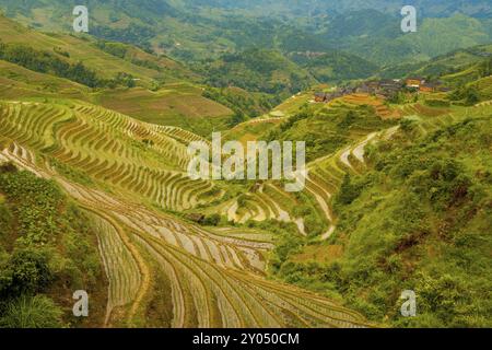 Eine steile Reihe überfluteter Reisterrassen steht neben einem traditionellen Dorf in Longji, dem Dragon's Backbone in Guanxi, China, Asien Stockfoto