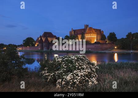 Marienburg in der Nacht in Polen, Ordens Ritter mittelalterliche Festung am Fluss Nogat Stockfoto