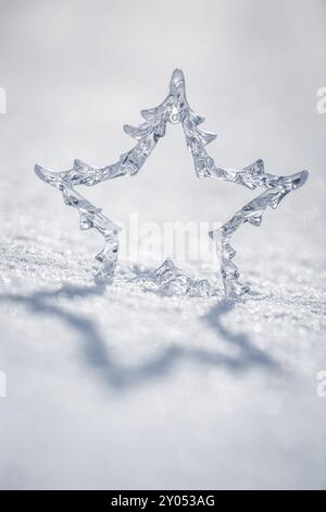 Silberner Weihnachtsstern auf echtem Schnee draußen. Konzept für Winterferien. Geringe Tiefe der Felder Stockfoto