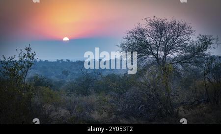 Sonnenuntergang über der afrikanischen Savanne, Balule Plains, Südafrika, Afrika Stockfoto