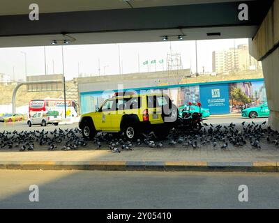 Mekka, Saudi-Arabien, 8. Juni 2024: Ein Nissan Patrouillenwagen, umgeben von vielen Haram-Tauben in der Straße von Makkah, der Hauptstadt von Mekka Provi Stockfoto