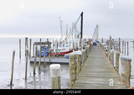 Ein hölzerner Dock erstreckt sich bis ins Wasser mit Fischerbooten, die unter einem nebeligen, bewölkten Himmel vertäut sind und eine ruhige Küstenatmosphäre schaffen, Deutschland, S Stockfoto