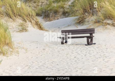 Sanddüne mit Bank, um die Aussicht zu genießen, in der Nähe von Oerd, Ameland Island, Friesland, Niederlande Stockfoto