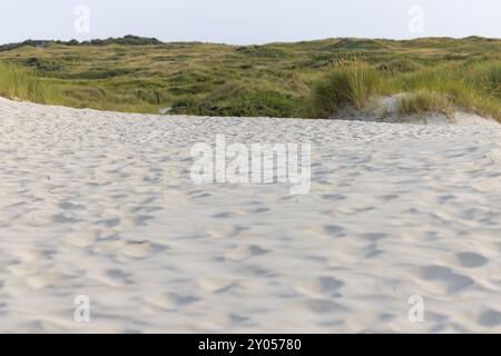 Sanddüne in der Nähe von Oerd, Ameland Island, Friesland, Niederlande Stockfoto