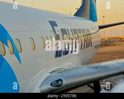 Kairo, Ägypten, 3. Juni 2024: Egypt Air ist ein ägyptisches Flugzeug auf dem Flughafen und ist das staatliche Flaggenflugzeug Ägyptens mit Hauptsitz in Cairo International Stockfoto