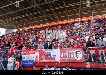 Utrecht, Niederlande. September 2024. UTRECHT, 01.09.2024, Galgenwaard Stadium, Saison 2024/2025, niederländischer Eredivisie Football. FC Utrecht Fans vor dem Spiel Utrecht - Twente Credit: Pro Shots/Alamy Live News Stockfoto