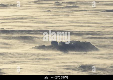 Packeis mit starkem Wind und fliegendem Schnee, Snow Hill Island, Weddelmeer, Antarktische Halbinsel, Antarktis Stockfoto