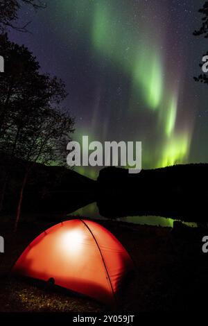 Nordlichter (Aurora borealis) reflektiert in einem See, Rago National Park, Nordland, Norwegen, Biwak, Zelt, Beleuchtung, Skandinavien, Europa Stockfoto