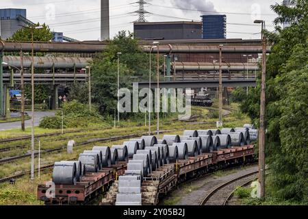 Bandstahlspulen, auf Güterwagen, im ThyssenKrupp Stahlwerk Schwelgern in Duisburg-Marxloh ist Teil des Stahlwerks Bruckhausen, Nordrhein Stockfoto