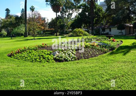 Ein ovales Gartenbeet mit Gemüse, Kräutern und Blumen im Sonnenlicht in Queens Gardens, einem urbanen Park in East Perth, Western Australia. Stockfoto