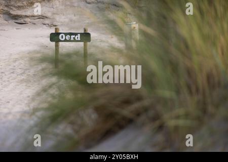 Sanddüne in der Nähe von Oerd, Ameland Island, Friesland, Niederlande Stockfoto