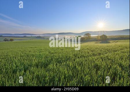 Ein malerischer Sonnenaufgang über einem breiten grünen Feld und einer sanften Hügellandschaft, Mönchberg, Mltenberg, Spessart, Bayern, Deutschland, Europa Stockfoto