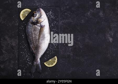 Raw Dorade Fisch mit Rosmarin und Zitrone auf Weiß Schwarz Stein gesundes Essen Konzept top Ansichtskopie Raum Stockfoto