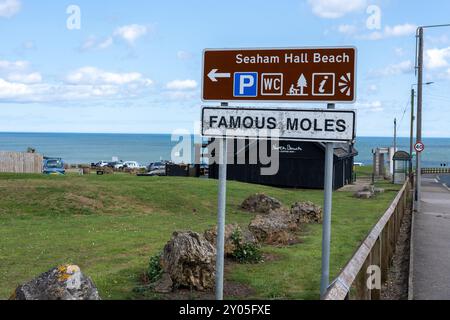 Seaham, County Durham, Großbritannien. Auf einem Schild neben Seaham Hall Beach steht: Berühmte Maulwürfe. Tierschutz, Maulwurfschutzkonzept. Stockfoto