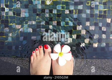 Schöne Frauen Füsse in Swimmingpool mit weißem frangipani Blume Stockfoto