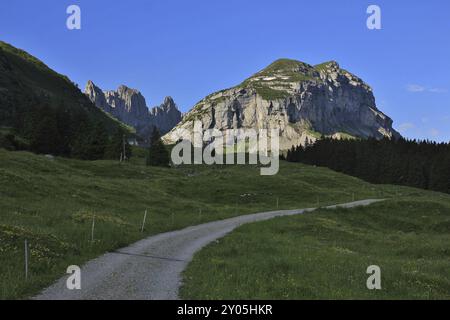 Landstraße und Berge der Alpsteinkette. Sommerszene im Kanton Appenzell, Schweiz, Europa Stockfoto